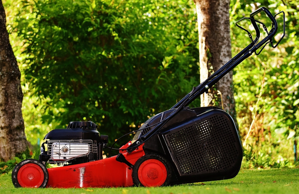 Lawn care & mowing