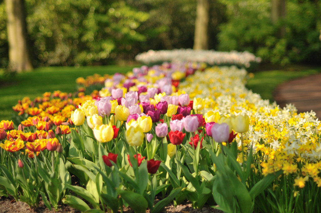 Landscape design